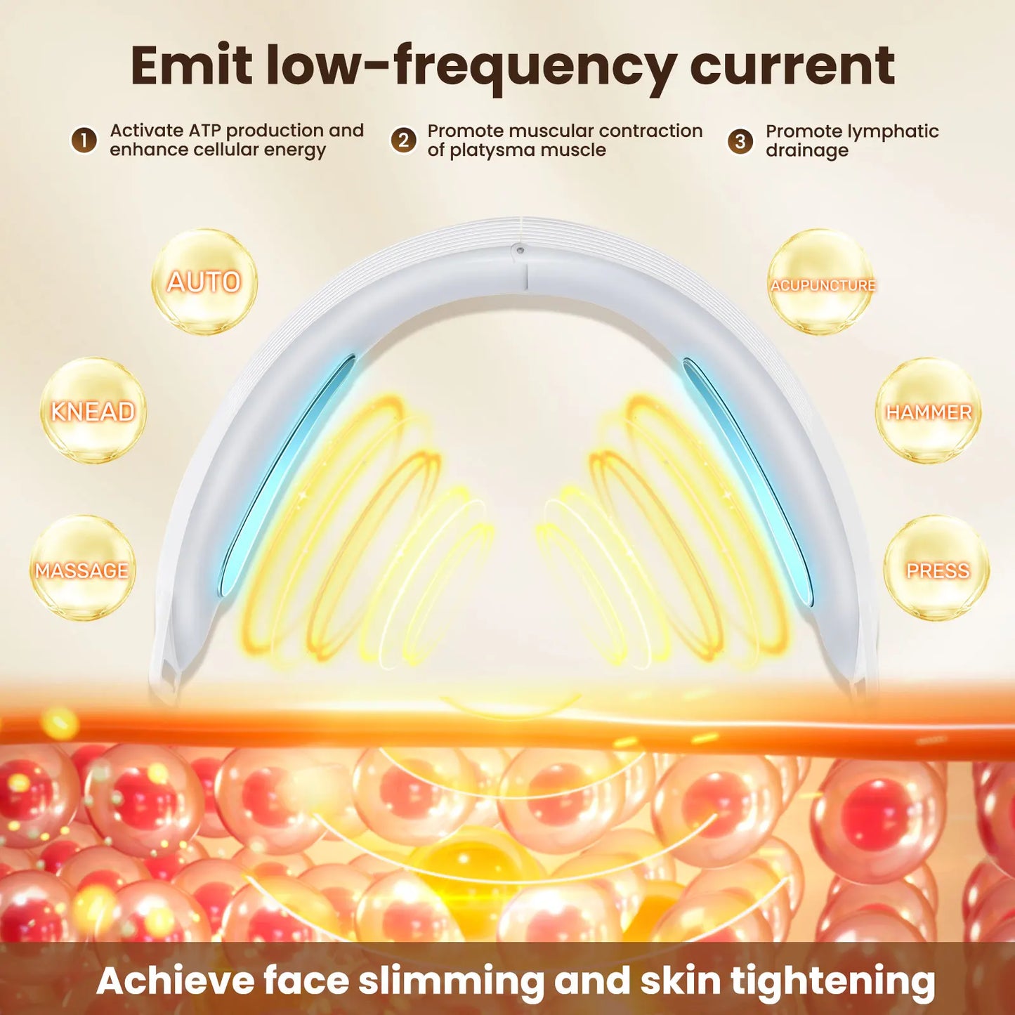 PASTSKY V Face Lifting EMS Microcurrent Facial Massager Pro