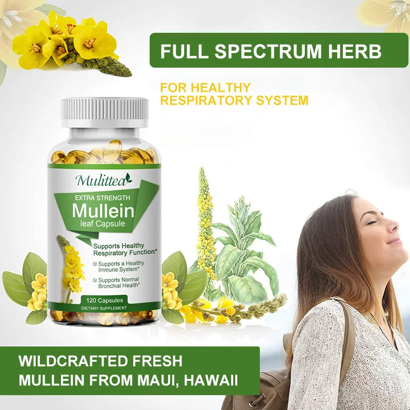 Mulittea Mullein Leaf Capsules Respiratory Support Supplement