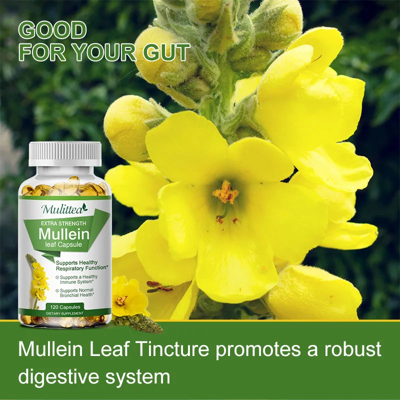 Mulittea Mullein Leaf Capsules Respiratory Support Supplement