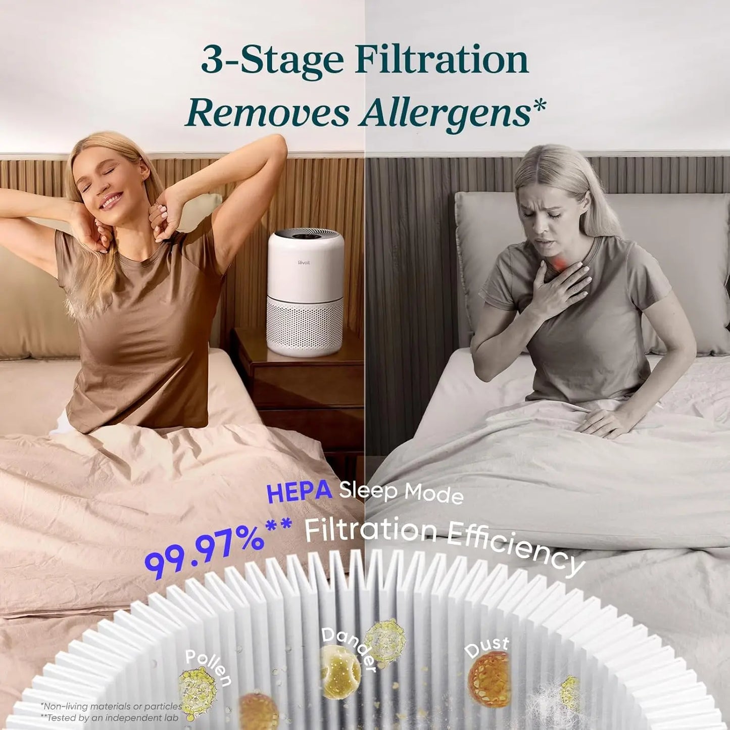 Home Air Purifier HEPA for Allergens Pet Hair Odor