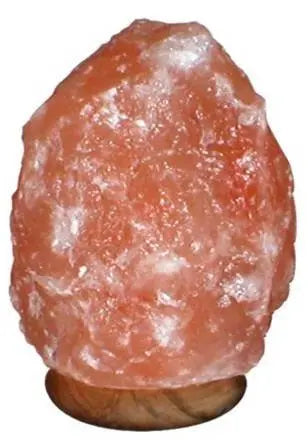 Himalayan Pink Salt Lamp Hand Carved Natural Rock Cord