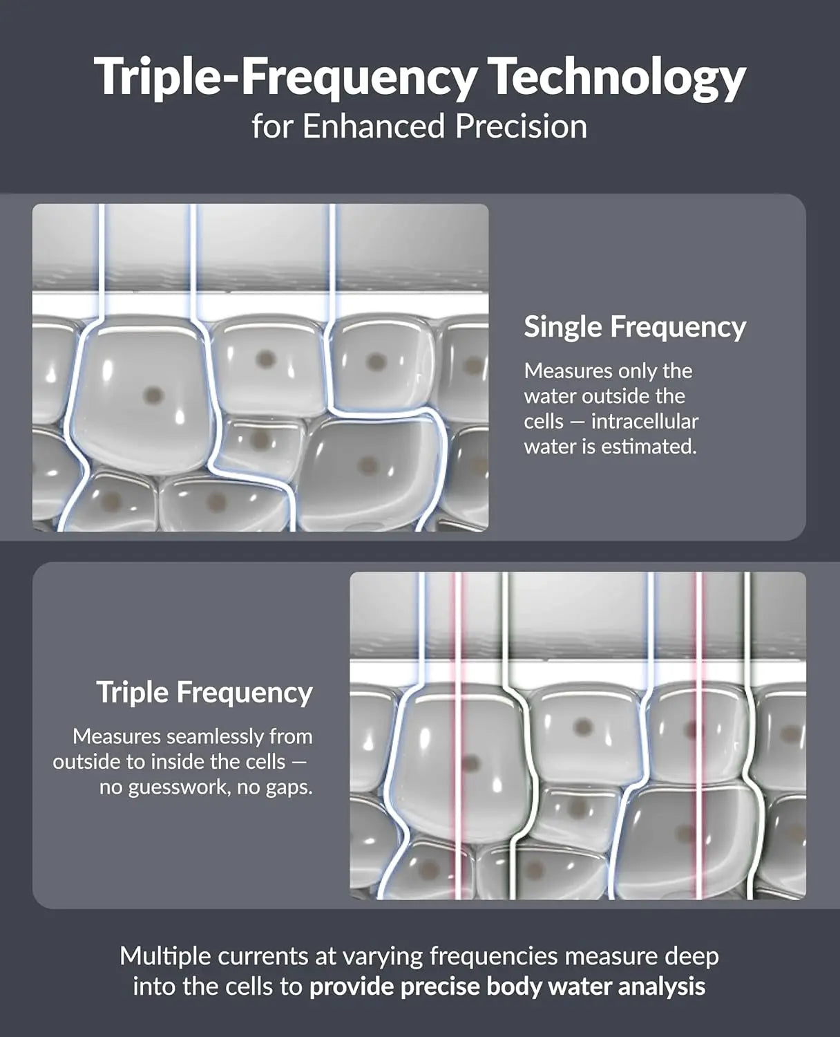 Smart Body Composition Scale With BMI And App Tracking