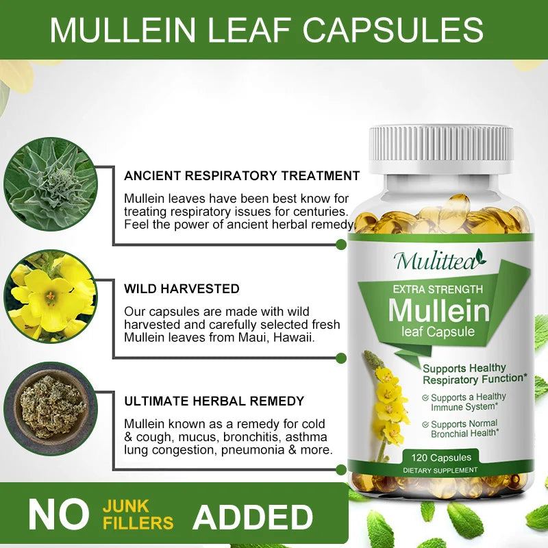 Mulittea Mullein Leaf Capsules Respiratory Support Supplement