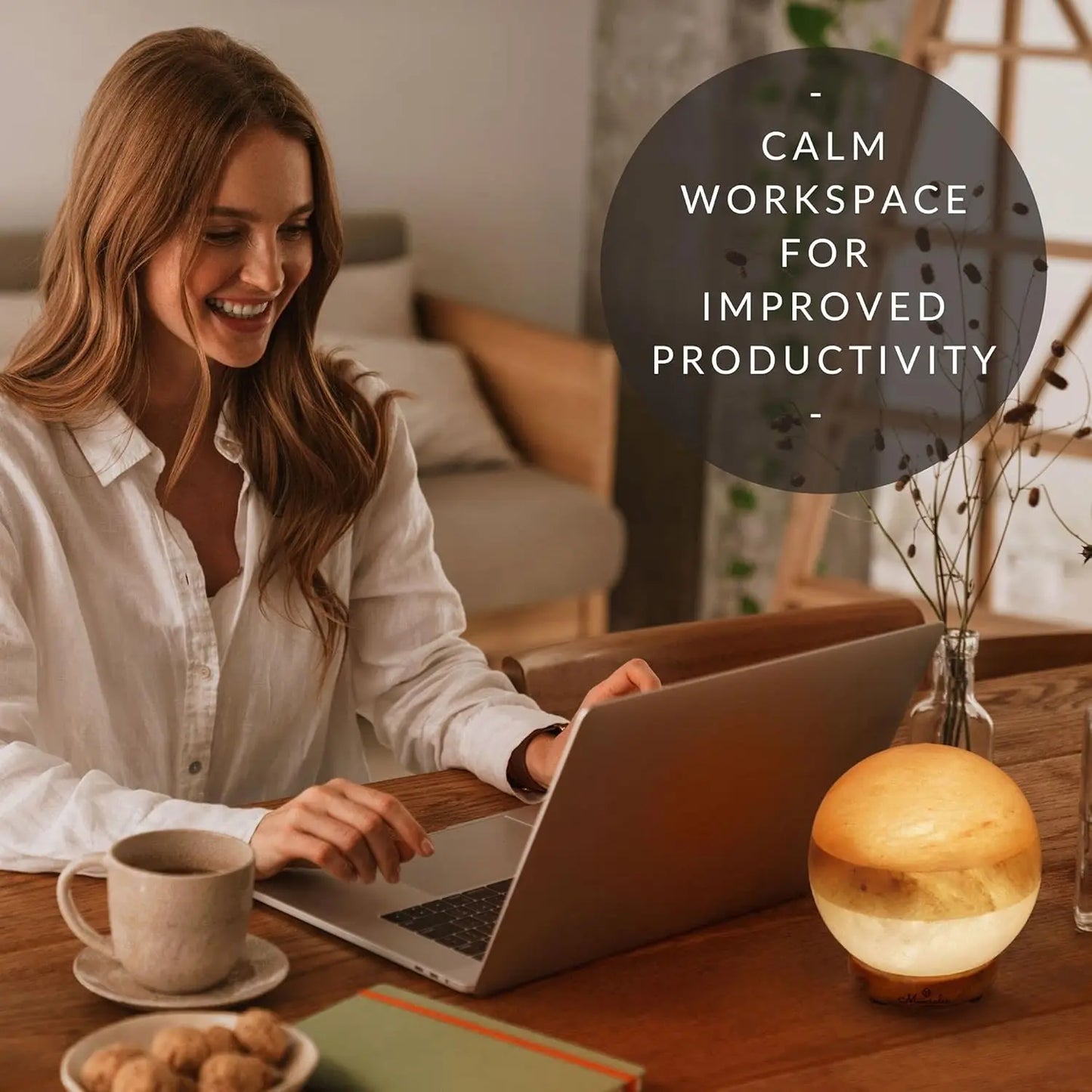 XMSJ Dual Illumination Himalayan Salt Lamp Globe With Dimmer